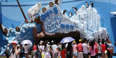 【深圳】深圳小梅沙海洋世界项目汇报完满结束