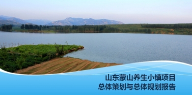 【山东】热烈祝贺山东蒙山养生小镇总体策划与总体规划专家论证会圆满成功