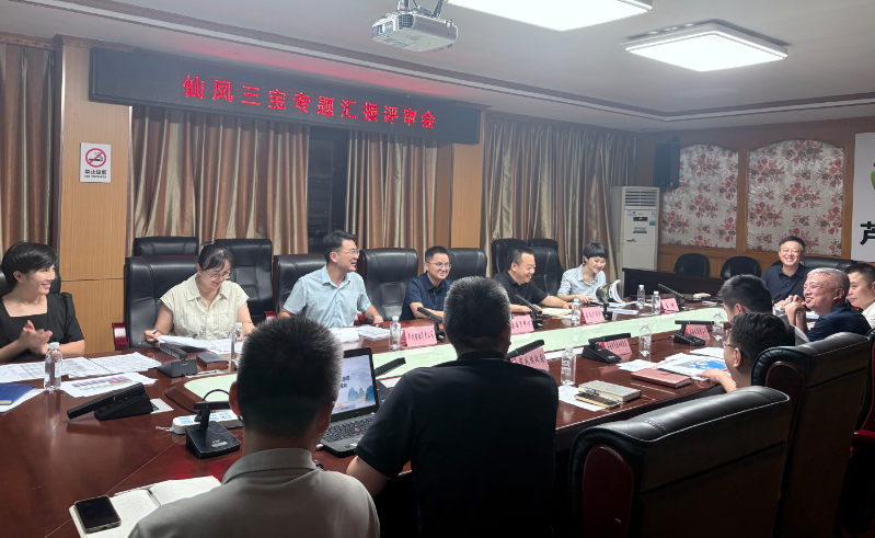 【江西】仙凤三宝赋能提升项目专题汇报评审会顺利召开